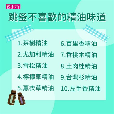 跳蚤 茶樹精油|跳蚤怕什麼？2024 最全居家消滅跳蚤攻略！｜潔客